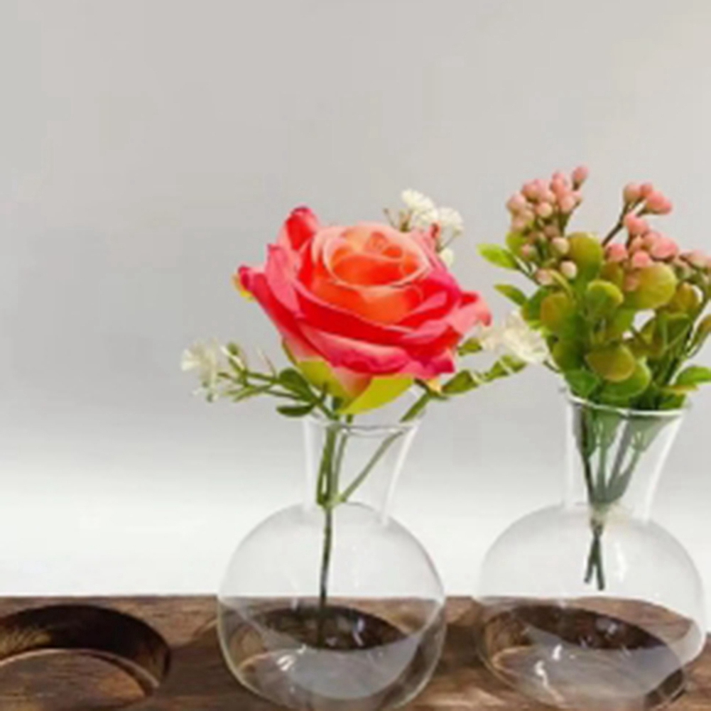 75STO-Hydroponic Plant Vases V - Propagation Station Vase 评论和价格
