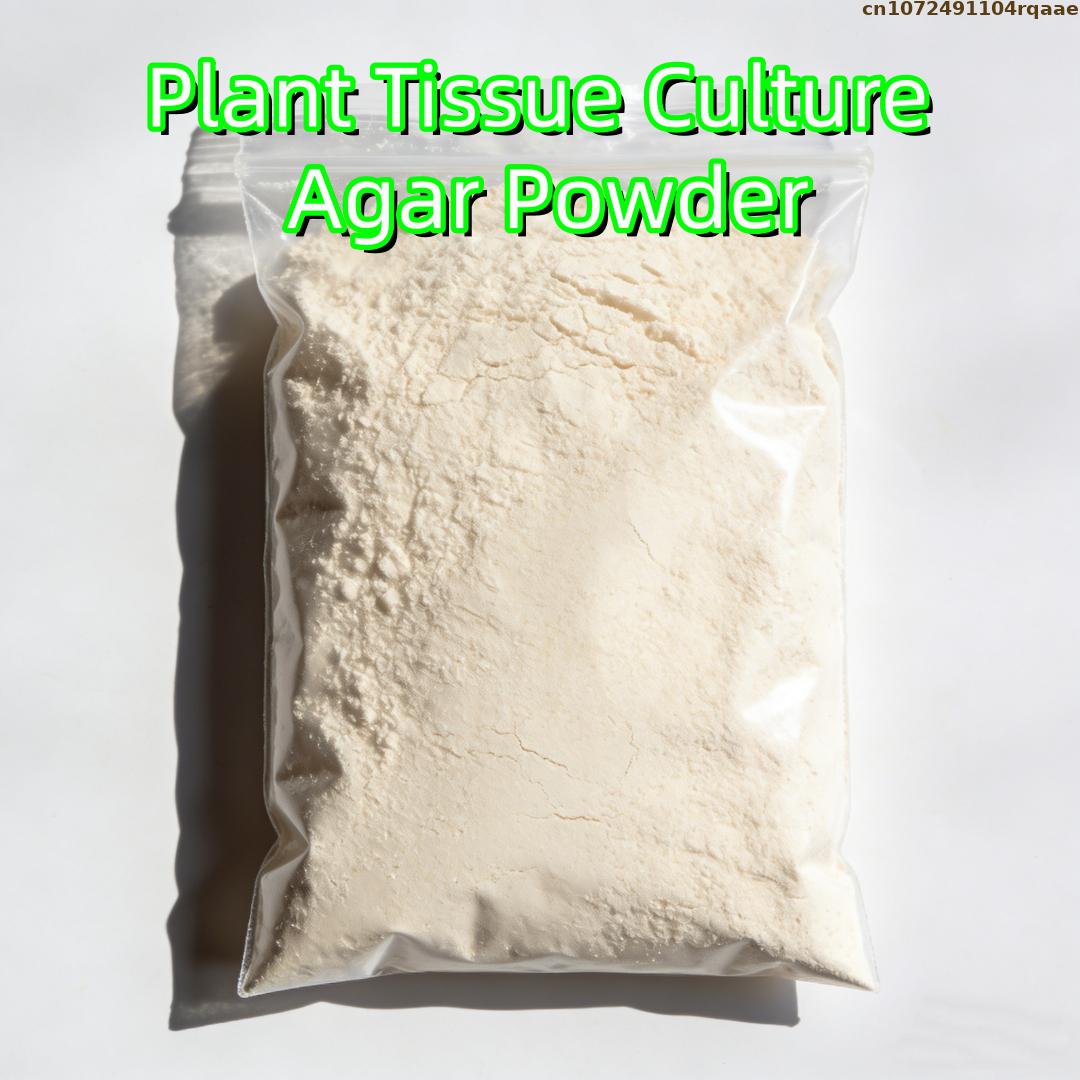 Premium Plant Tissue Culture A - Agar Tissue Culture 评论和价格