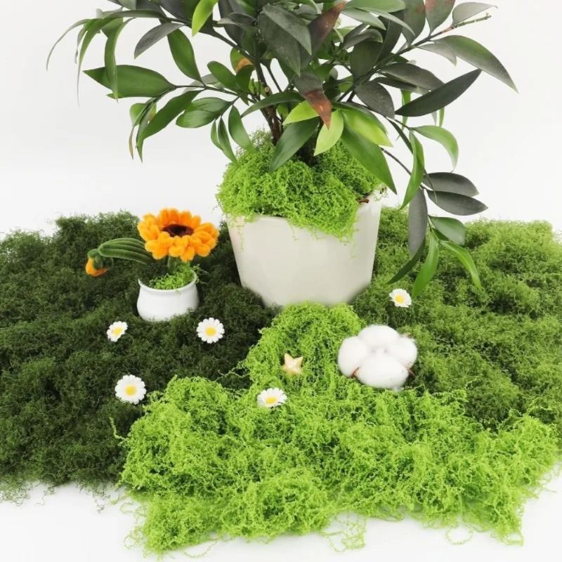 Artificial Green Moss Fake Mos - Sphagnum Moss Dry 评论和价格